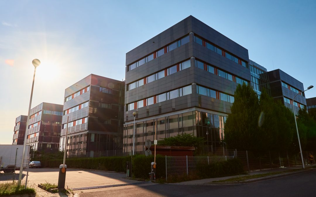 Commercial Renovations: Creating Functional and Aesthetic Workspaces